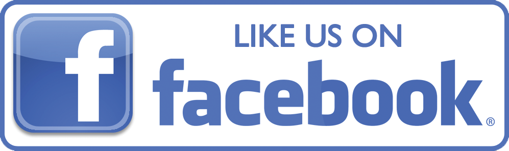 facebook logo 2